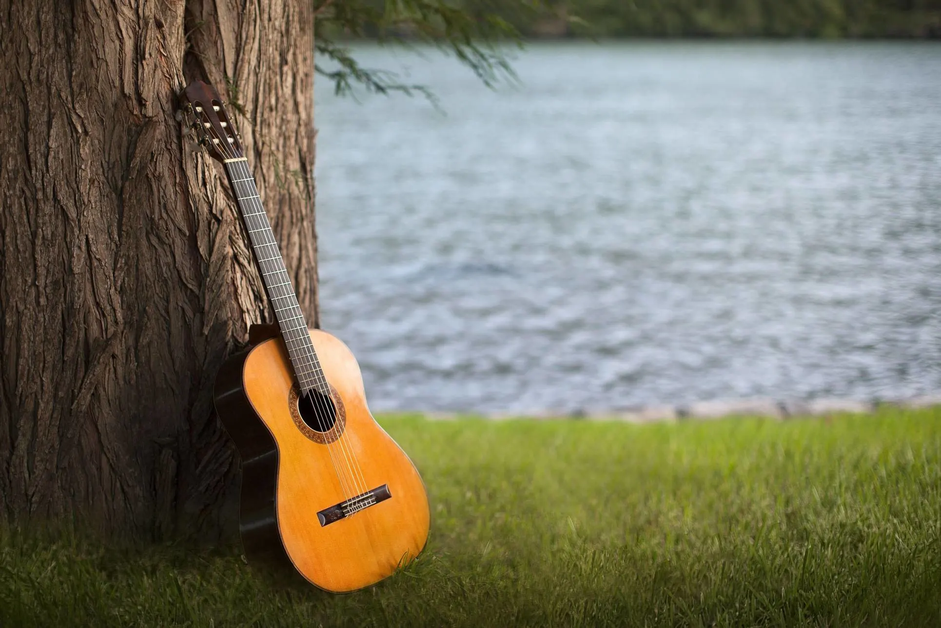 Guitar at Lake Austin Spa Resort_Ryann Ford